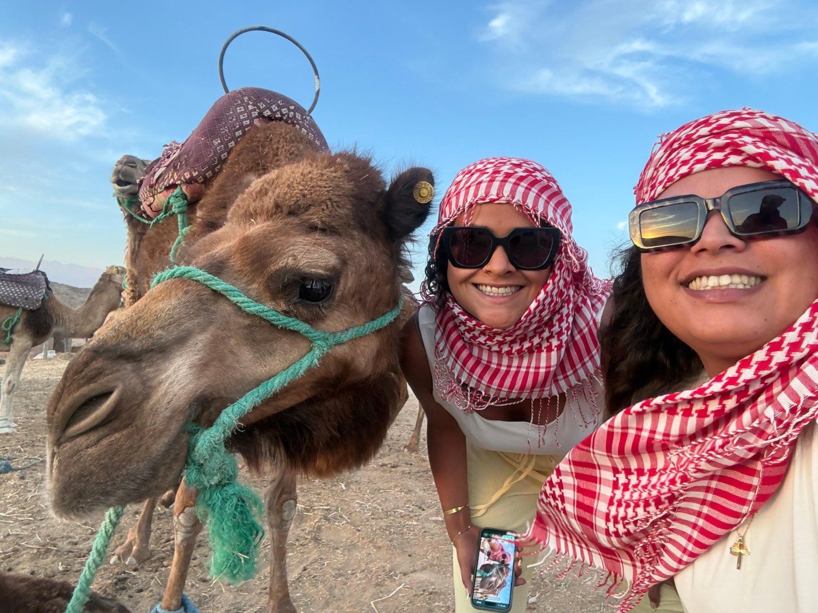 Close-up portrait of a camel facing the camera in warm desert light