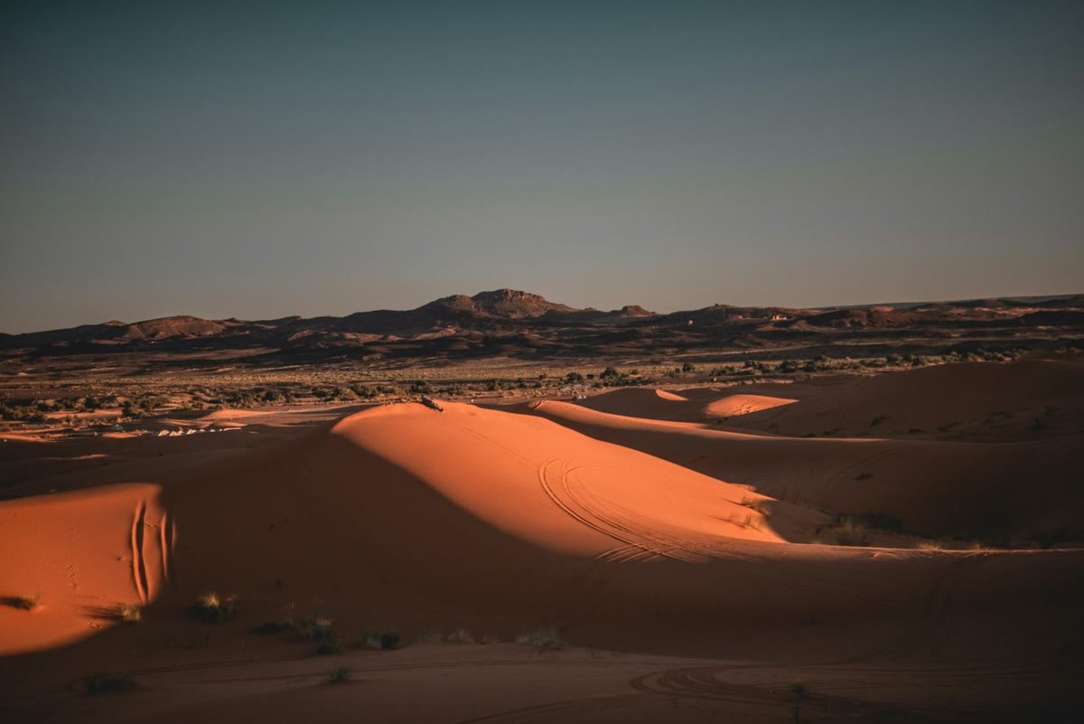 Panoramic desert view with a distant mountain range at golden hour